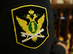 Мать троих сыновей лишилась земельного участка в Тамбовской области из-за невыплаты алиментов