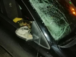 В центре Тамбова иномарка насмерть сбила пешехода