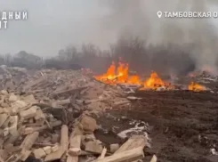 Ущерб от свалки в Строителе оценивает Росприроднадзор