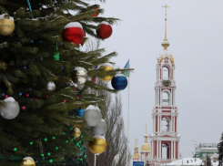 Городские власти рассказали, что ждать тамбовчанам на Новый год
