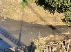 В Тамбове вновь наполнили Цну фекалиями