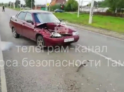 В Сосновском округе из-за переходившей дорогу утки произошло ДТП