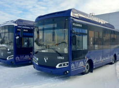 В Тамбов доставили купленные в прошлом году автобусы