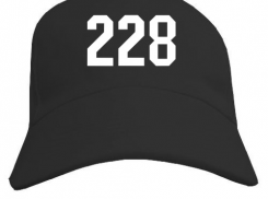 Коварная «228» может изменить жизнь жителю Мичуринска