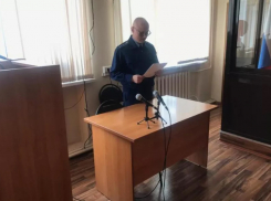 Бывшего начальника управления лесами и двух его подчинённых признали виновными в превышении полномочий