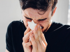 Самолёт из Питера в Тамбов задержали из-за чихнувшего пассажира 