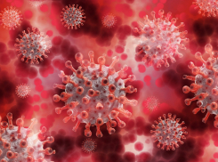 От осложнений, вызванных коронавирусом, скончалось ещё трое тамбовчан