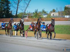 Кубок губернатора и призовой фонд в 700 тысяч разыграют на Тамбовском ипподроме
