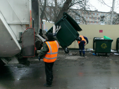 Ход «мусорной реформы» в Тамбовском районе обсудили в областной Думе