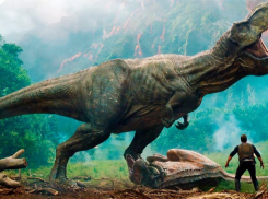 Тамбовчане поучаствовали в спасении динозавров