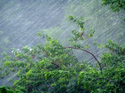 В Тамбовской области объявлено штормовое предупреждение