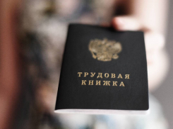 Пенсионный фонд РФ сообщил, что все трудовые книжки россиян оцифрованы 