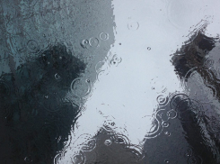 Тамбовчан на неделе ожидают дожди и холод 