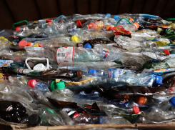 За 2021 год в Тамбовской области отправлено на переработку 1,5 тысячи тонн вторсырья