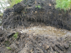 Для поиска пропавшего подростка в Стежках осушили пруд