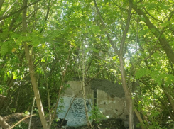 Халатность чиновника стоила жизни ребёнку в Мичуринске