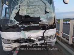 Водителя автобуса, сбившего насмерть трёх человек в Никифоровском округе, отправили под арест
