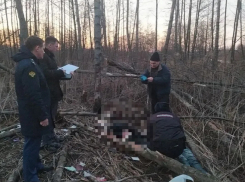 В Никифоровском районе обнаружены два трупа 