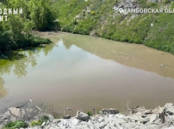 В Тамбове фекальное озеро на Бастионной продолжается разрастаться 