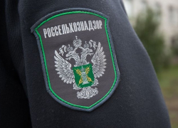 Россельхознадзор нашёл опасные «добавки» в саратовской колбасе на тамбовских прилавках 