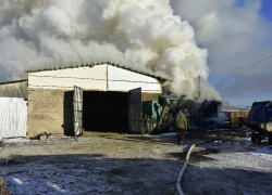 В Гавриловском районе в пожаре погибли корова, быки и овцы