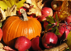 В центре Тамбова в эту субботу состоится «Осенняя ярмарка»