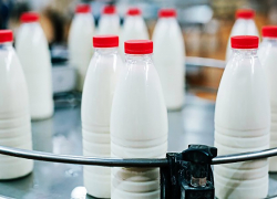 Тамбовскую фирму оштрафовали на 800 тысяч рублей за поставку поддельной «молочки»