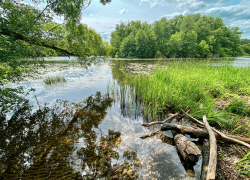 Последняя неделя мая в Тамбове будет тёплой и немного дождливой