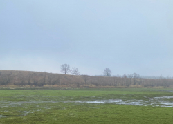 Региональное минэкологии проведёт проверку по факту спуска пруда в Моршанском округе 