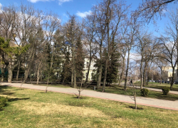 В Тамбов пришла весна