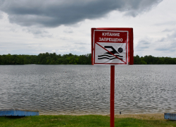 В Тамбове не рекомендуется купаться на четырёх пляжах