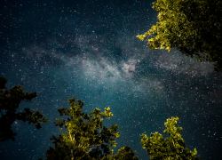 В ближайшие дни «африканская» жара не покинет Тамбовскую область