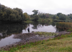 В Тамбовском районе понизился уровень реки Цны