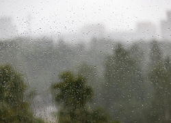 Выходные в регионе будут дождливыми и туманными