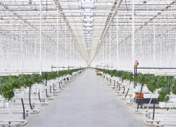 ГК «РОСТ»: Несмотря на экономическую обстановку страны, мы будет увеличивать масштабы производства