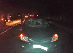 В Тамбовской области пешеход погиб под колёсами автомобиля