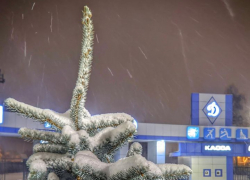 На Тамбов надвигаются воздушные массы, несущие 15-градусный мороз