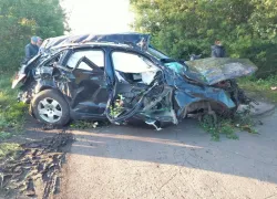 В Инжавинском районе кроссовер въехал в деревья: водитель и пассажир погибли