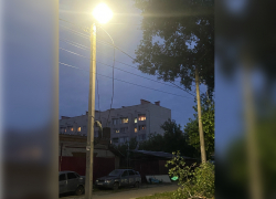 Обещанного полгода ждут: власти Котовска просят горожан подождать до декабря, несмотря на опасность сухих деревьев 