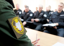 На территории воинских частей Тамбова обнаружены бесхозные животные