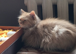 С 28 сентября в Моршанске стартует отопительный сезон