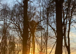 Третья рабочая неделя марта в Тамбове будет морозной