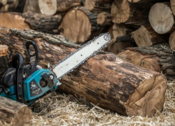 В Жердевском районе возбуждено уголовное дело за срубленные тополя