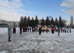В Дмитриевке прошёл пикет против полигона и местных властей
