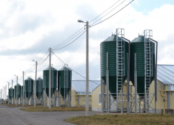 "Тамбовскую индейку" наказали за загрязнение почвы