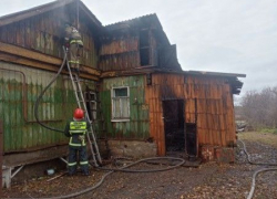 В деревне Кареевка Ржаксинского района при пожаре погибли женщина с ребёнком