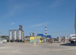 Завод "Кристалл" заплатит миллионный штраф