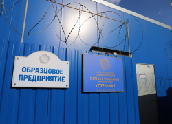 «Тамбовская сетевая компания» пополнила бюджет на 600 миллионов рублей