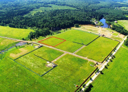 Администрация Тамбовского района сдала в аренду землю, принадлежащую государству