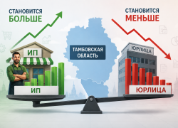 В Тамбовской области становится больше ИП и меньше юрлиц